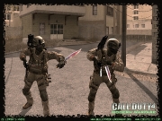 Call of Duty 4: Modern Warfare - Skin Ansicht