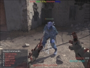 Call of Duty 4: Modern Warfare - Mod Ansicht