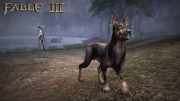 Fable 3 - Screenshot zum neuen Hunderassen DLC