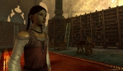 Dragon Age: Origins - Brannt heisses Bildmaterial.