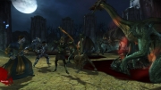 Dragon Age: Origins - Screenshot aus dem DLC Witch Hunt