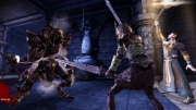 Dragon Age: Origins - Screenshot aus dem DLC Witch Hunt