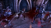 Dragon Age: Origins - Neue Screenshots zum kommenden DLC Hexenjagd