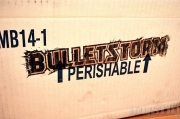 Bulletstorm - news