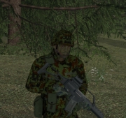 Armed Assault - Lithuania Soldiers by GranQ - Ansicht