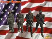 Armed Assault - Fidelis Marines v1.5 - Inhalt