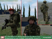 Armed Assault - Italiano Pack by Pedagne Mod - Inhalt & Ausrüstung