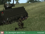 Armed Assault - Italiano Pack by Pedagne Mod - Inhalt & Ausrüstung