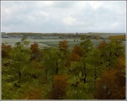 Armed Assault - Schmalfelden - Germany Map v0.82 by Nicholas Bell - Ansicht
