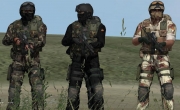 Armed Assault - ArmA - Fuerzas Armadas v3.2 - Inhalt/Ansicht