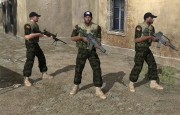 Armed Assault - ArmA - Republic Of Leskap, 5th Battalion Recon Units v2.0 by Sheildsy - Ansicht