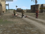 Armed Assault - ArmA - Farmland Zombie Mod BETA - Ansicht