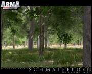 Armed Assault - ArmA - Schmalfelden v0.9 by Nicholas BEll - Ansicht