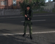 Armed Assault - SG-1 Colonel v1.0 by Colonel Well - Ansicht