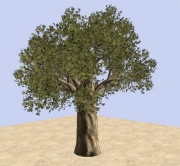 Armed Assault - African Vegetation Pack Beta 1 by BergHoff - Ansicht/Inhalt