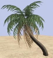 Armed Assault - African Vegetation Pack Beta 1 by BergHoff - Ansicht/Inhalt