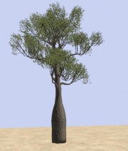Armed Assault - African Vegetation Pack Beta 1 by BergHoff - Ansicht/Inhalt