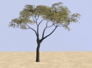 Armed Assault - African Vegetation Pack Beta 1 by BergHoff - Ansicht/Inhalt