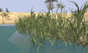 Armed Assault - African Vegetation Pack Beta 1 by BergHoff - Ansicht/Inhalt