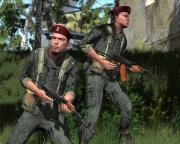 Armed Assault - Polish modern Infantry by vilas - Ansicht