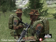 Armed Assault - Turkish Forces Mod v1.0 - Inhalt/Ansicht