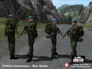 Armed Assault - Turkish Forces Mod v1.0 - Inhalt/Ansicht