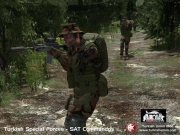 Armed Assault - Turkish Forces Mod v1.0 - Inhalt/Ansicht