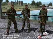 Armed Assault - Turkish Forces Mod v1.0 - Inhalt/Ansicht