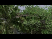 Armed Assault - HD Tropic Island BETA by Linker Split - Ansicht