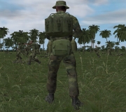 Armed Assault - Vietnam - The Experience pre Alpha 2 - Ansicht
