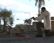 Armed Assault - RH Pistol Pack v2.0 - Ansicht