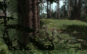 Armed Assault - US Woodland Units v1.0 by [CeDe]Aushilfe - Ansicht