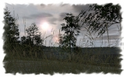 Armed Assault - Gott Islands, US v1.0 by blackknight63