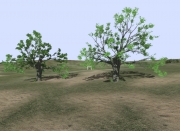 Armed Assault - English Elm v1.0 by mikebart