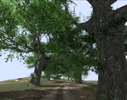 Armed Assault - English Elm v2.0 by mikebart