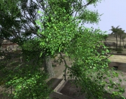 Armed Assault - English Elm v2.0 by mikebart