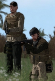 Armed Assault - Desert Mercenaries pack v1.0