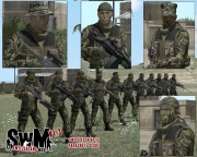 Armed Assault - Switzerland Mod v1.3 für Armed Assault