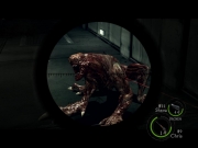 Resident Evil 5 - Ingame