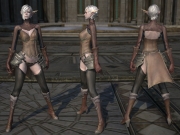 Tera - Weibliche Hochelfen und ihre verschiedenen Rüstungen, Stoff, Leder und Platte.