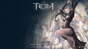 Tera - Wallpaper zum MMO