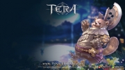 Tera - Wallpaper zum MMO