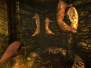 Amnesia: The Dark Descent: Bilder zum Grusel Adventure Amnesia: The Dark Descent.