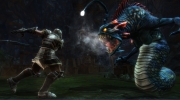 Kingdoms of Amalur: Reckoning - Screenshot aus dem epischen Open World-Rollenspiel