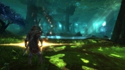 Kingdoms of Amalur: Reckoning - Screenshot aus dem Rollenspiel