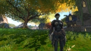 Kingdoms of Amalur: Reckoning - Screenshot aus dem Rollenspiel