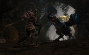 Kingdoms of Amalur: Reckoning - Screenshot zum Zähne von Naros DLC