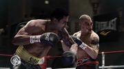 Fight Night Champion: Zwei neue Screenshots aus dem Box-Spiel.