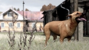 ARMA 2 - Neue Screens zu ArmA II, von einer Gamestar Preview.