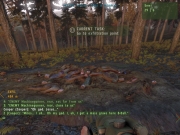 ARMA 2 - Neue Screenshots von JEUXVIDEO.COM